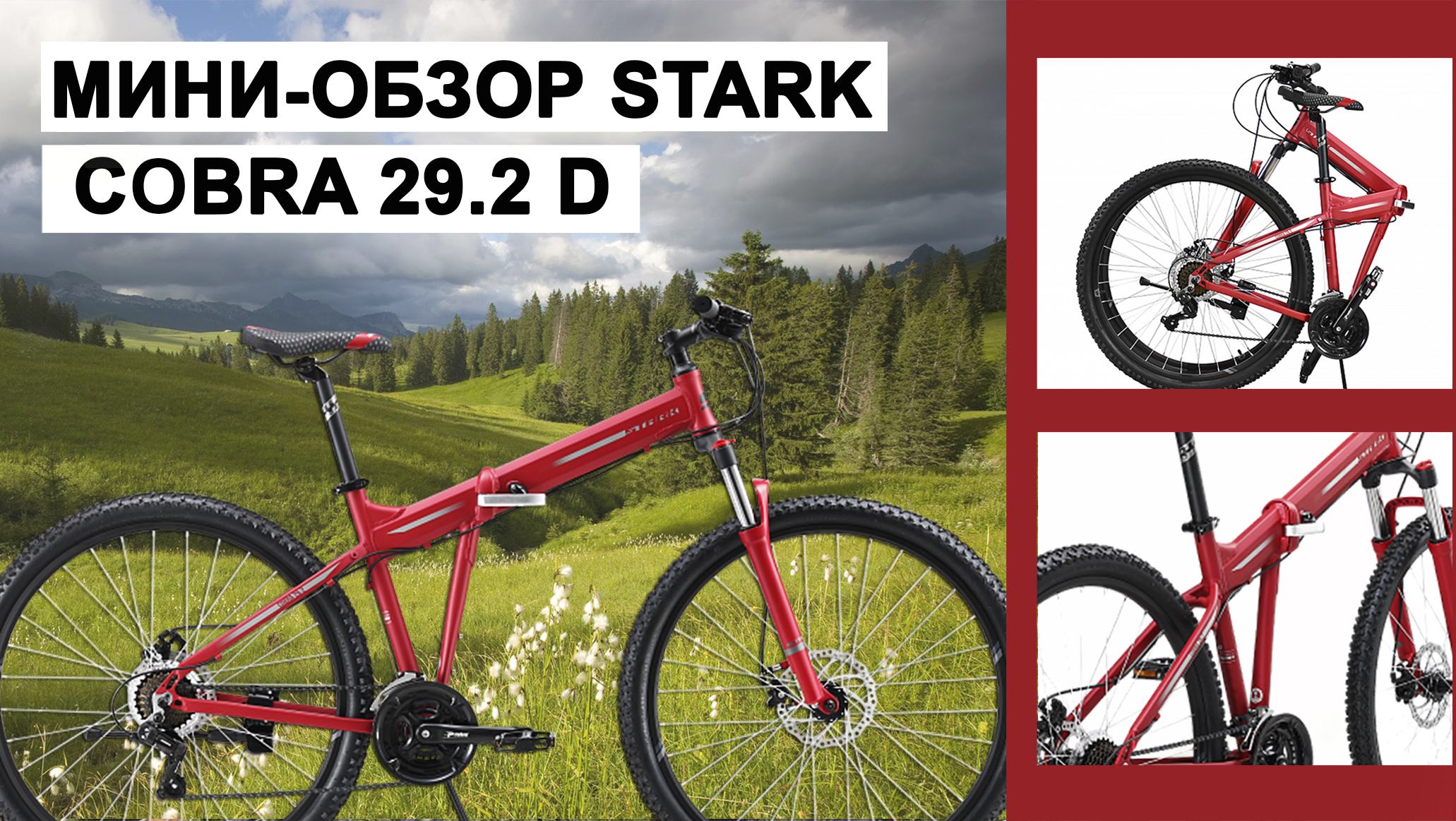 Мини-обзор Stark Сobra 29.2 D